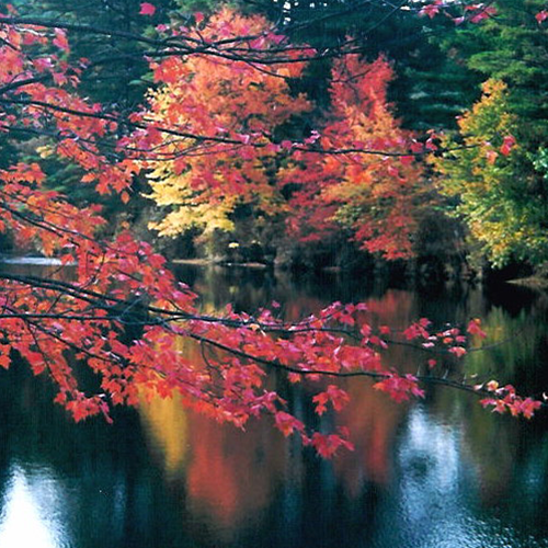 View of a river
