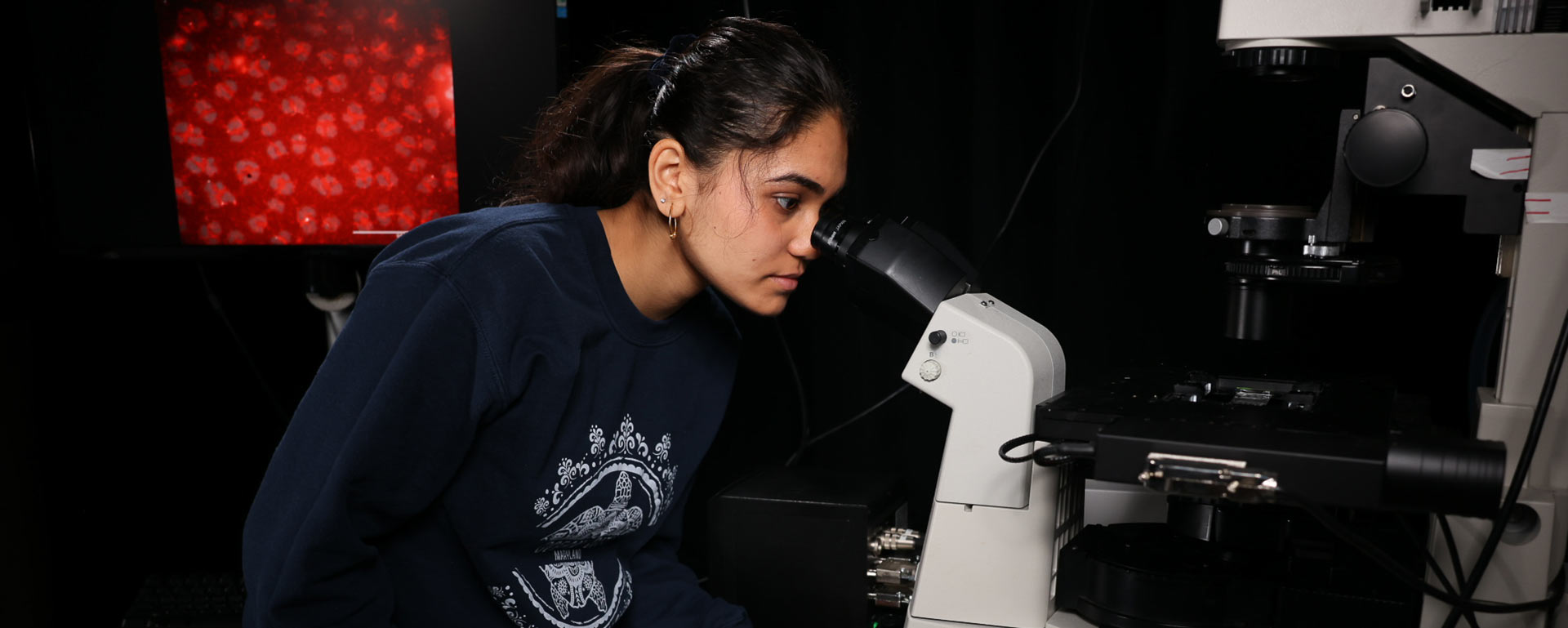 A student looking into a microscope in the Duclos lab