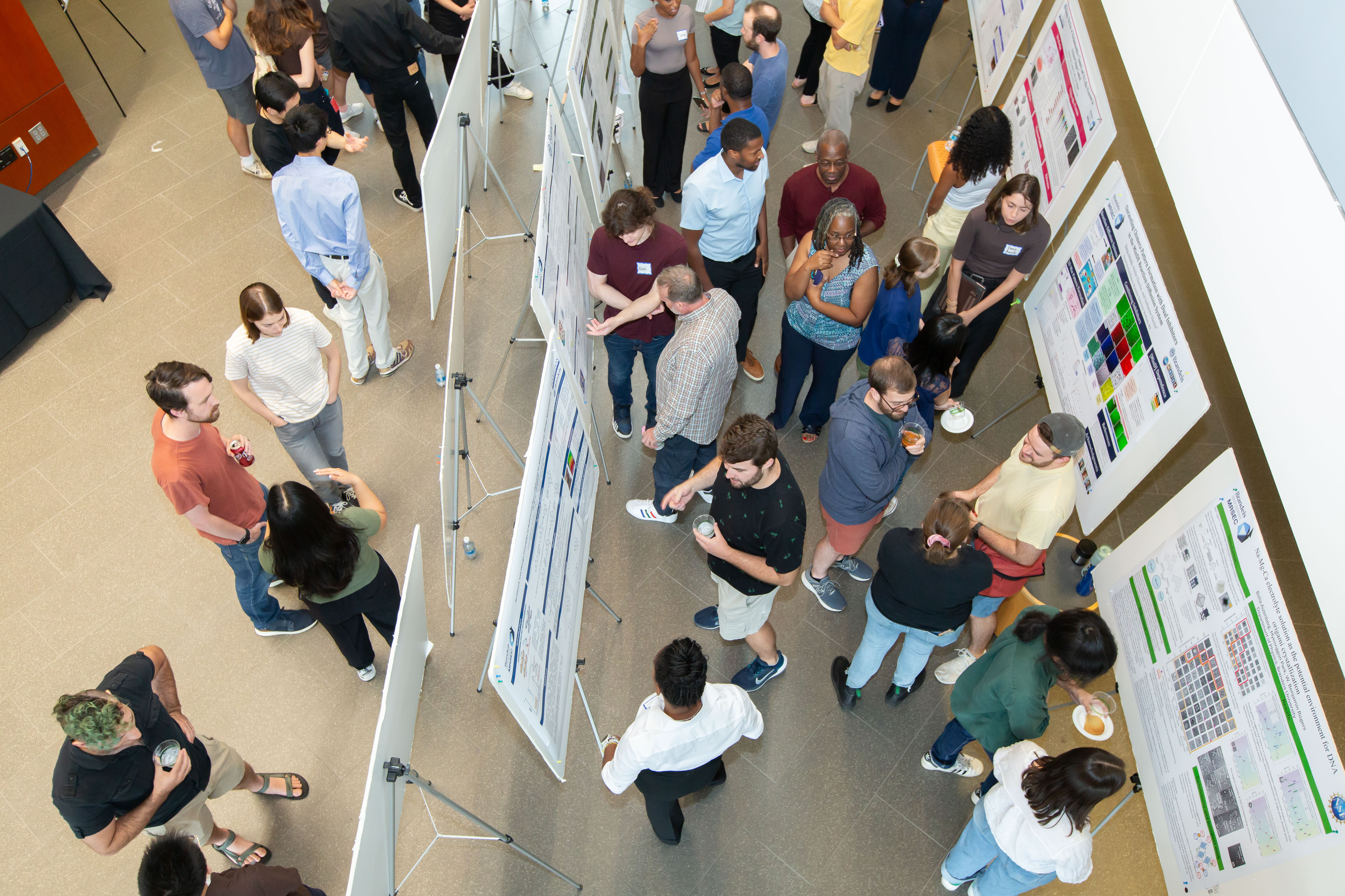 posters displayed at scifest