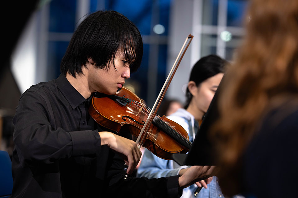 A person plays the violin.