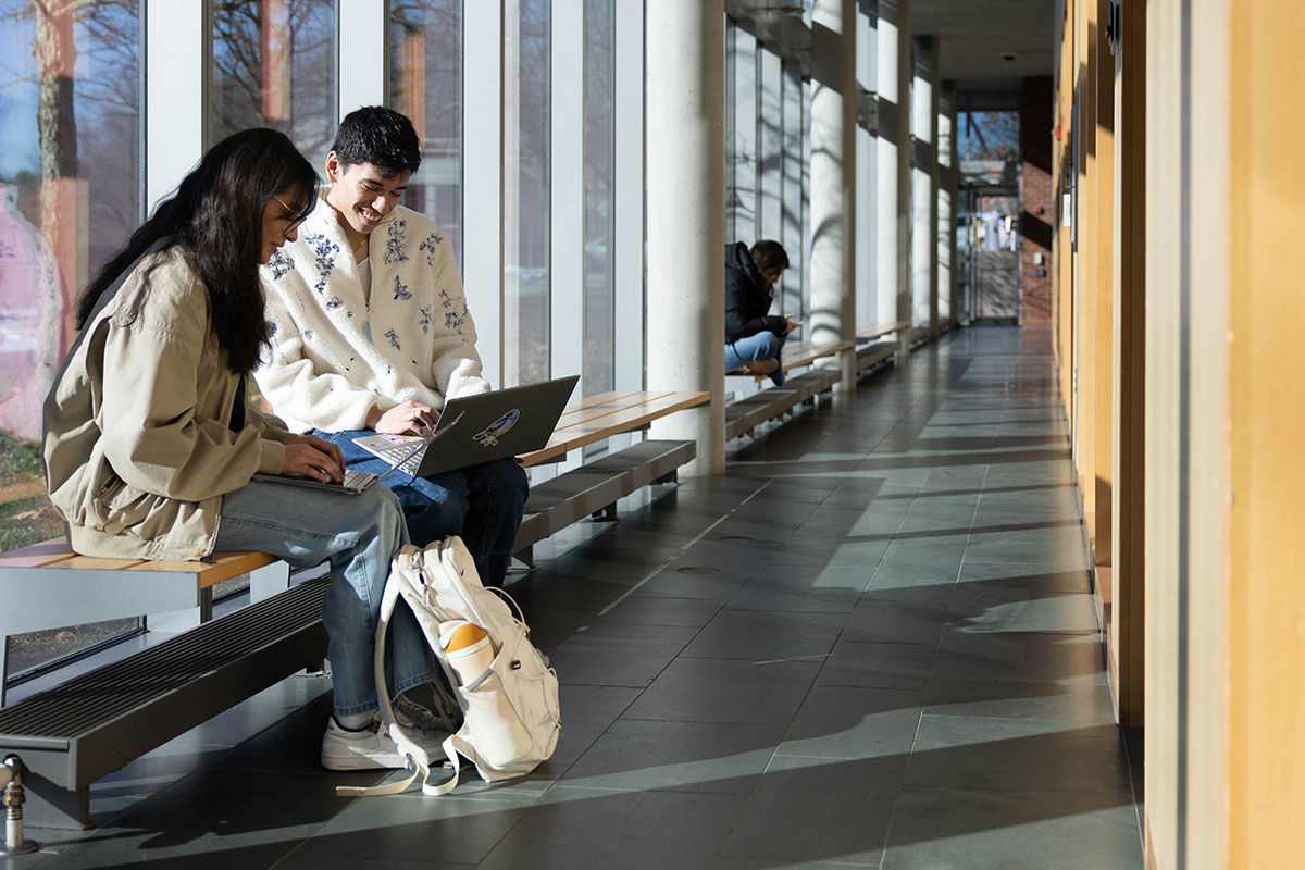 Two students sit side by side in a sunny hallway looking at their laptops.